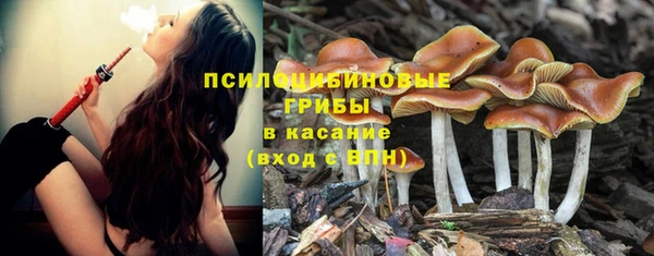 метадон Арсеньев
