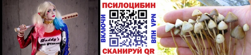 Псилоцибиновые грибы Psilocybine cubensis  Купить  Белгород 