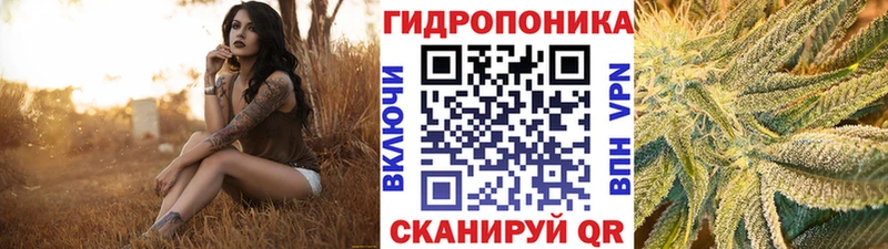 Купить  Белгород  Канабис SATIVA & INDICA 